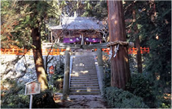 高鴨神社